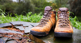 rlp_shelter_events_hike