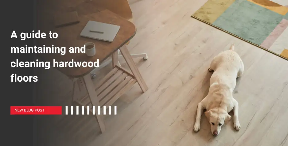 NEW! On the Royal LePage Blog