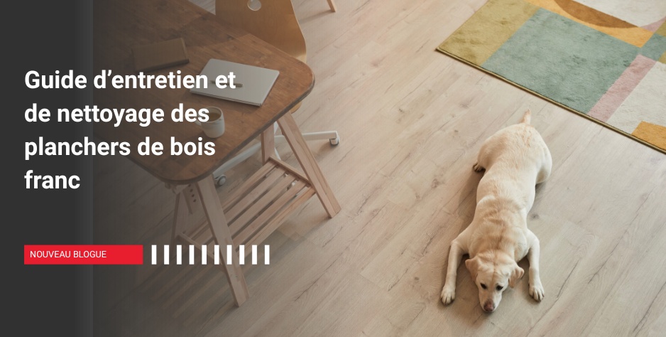 NOUVEAU ! Sur le blogue de Royal LePage